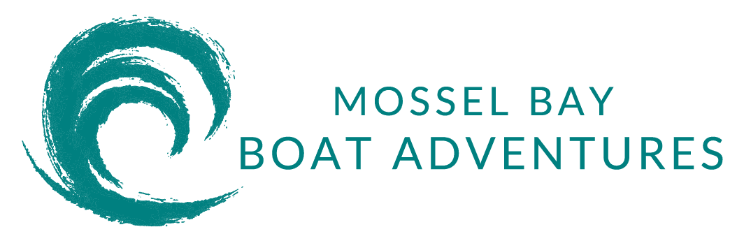 Big Tube Experience logo