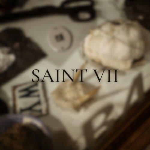  Saint VII logo