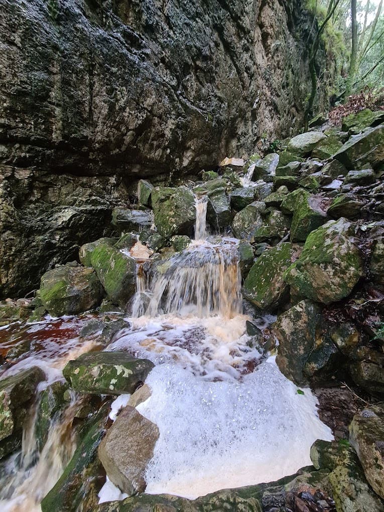 Myburgh's Waterfall Ravine  logo