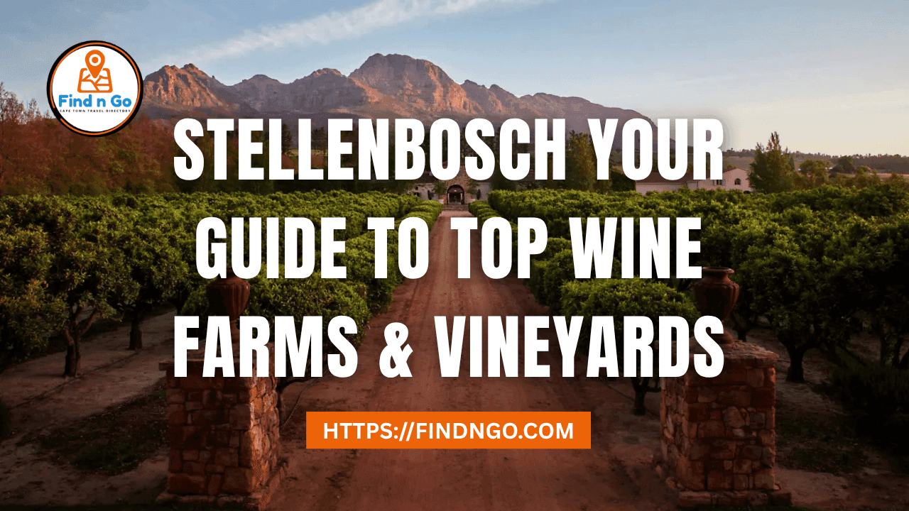 Stellenbosch Your Guide to Top Wine Farms & Vineyards