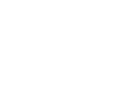 Strolla logo