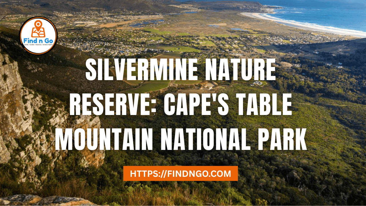 Silvermine Nature Reserve Cape's Table Mountain National Park