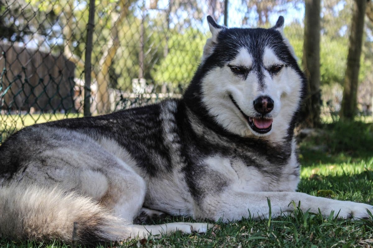 Business listing image