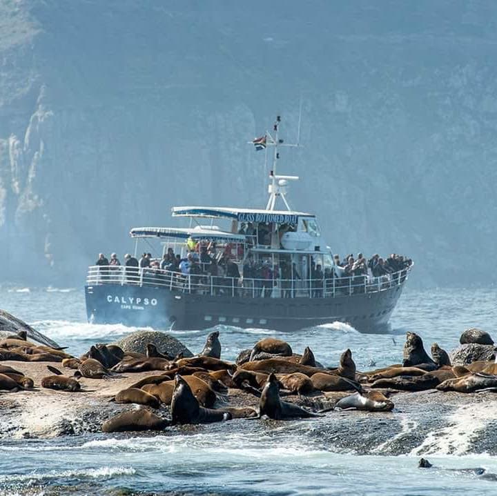 Circé Launches logo