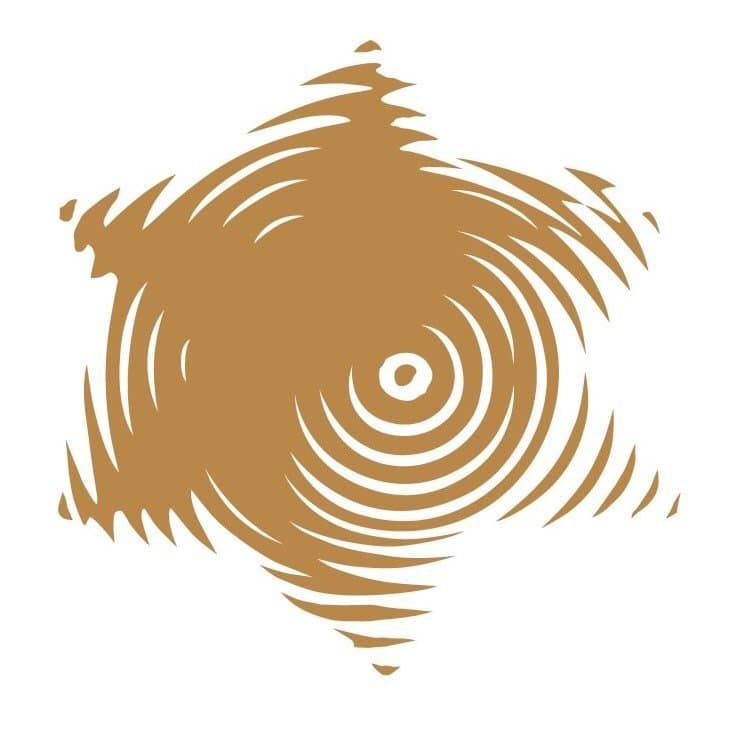 South African Jewish Museum  logo