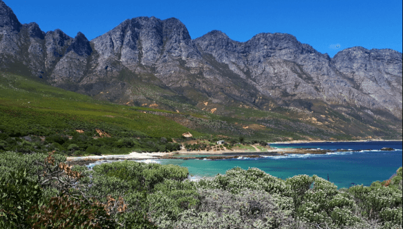 Steenbras Nature Reserve logo