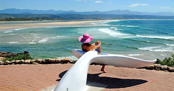 Whale Tail Lookout Point logo