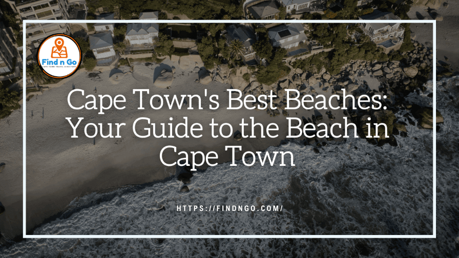 Cape Town's Best Beaches: Your Guide to the Beach in Cape Town