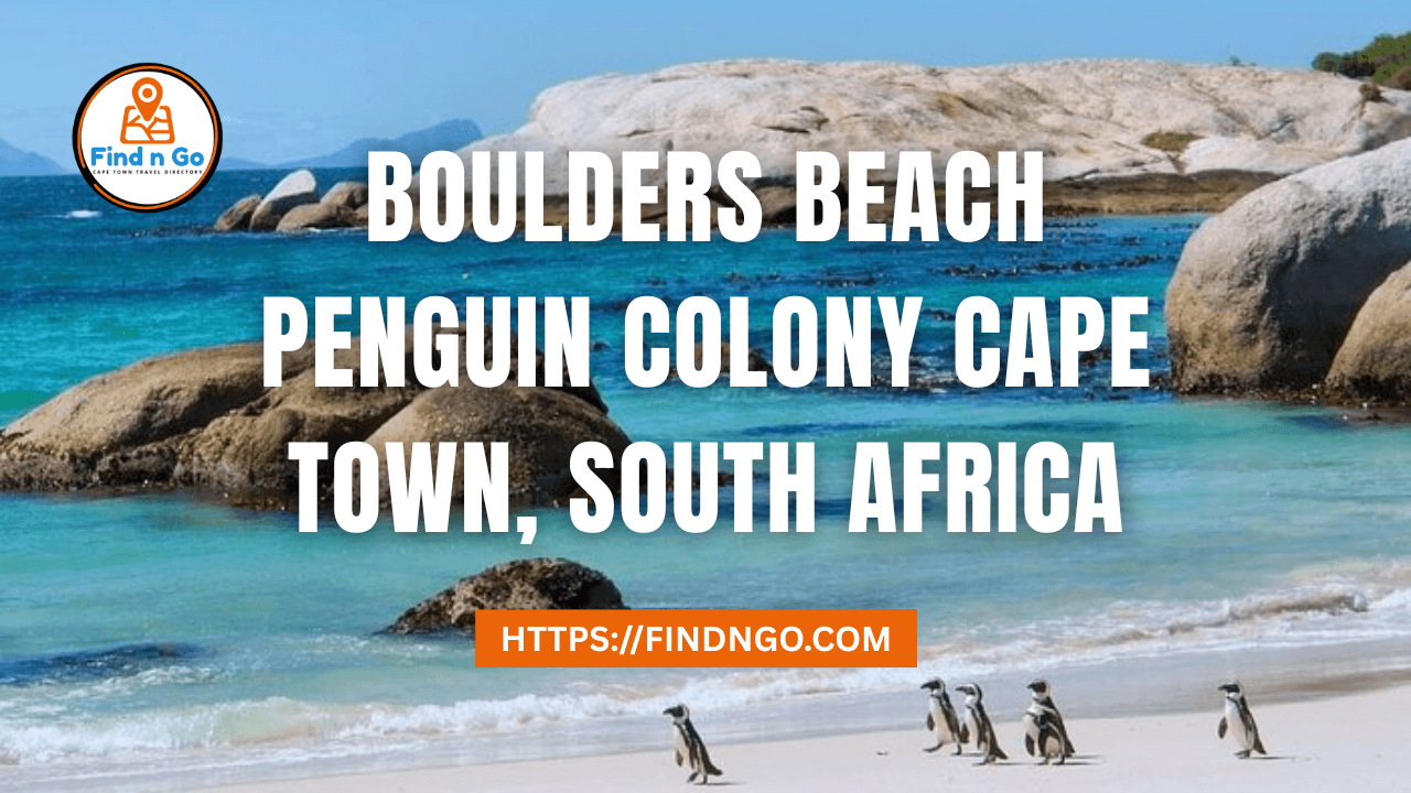 Boulders Beach Penguin Colony Cape Town, South Africa