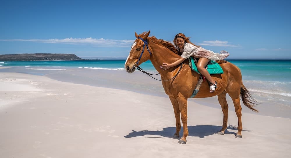 The Dunes Beach Horse Rides logo