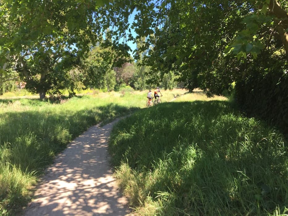 Constantia Greenbelt and Forest logo
