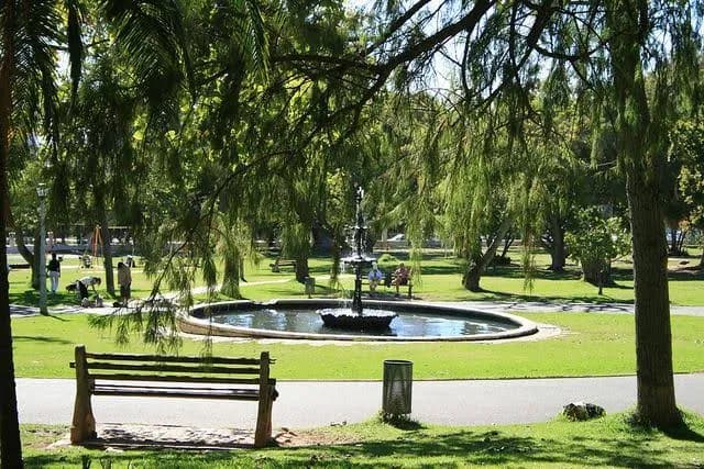 Business listing image