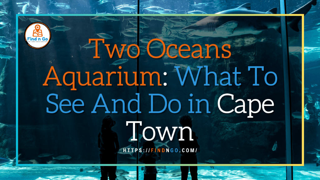 Two Oceans Aquarium: What To See And Do in Cape Town