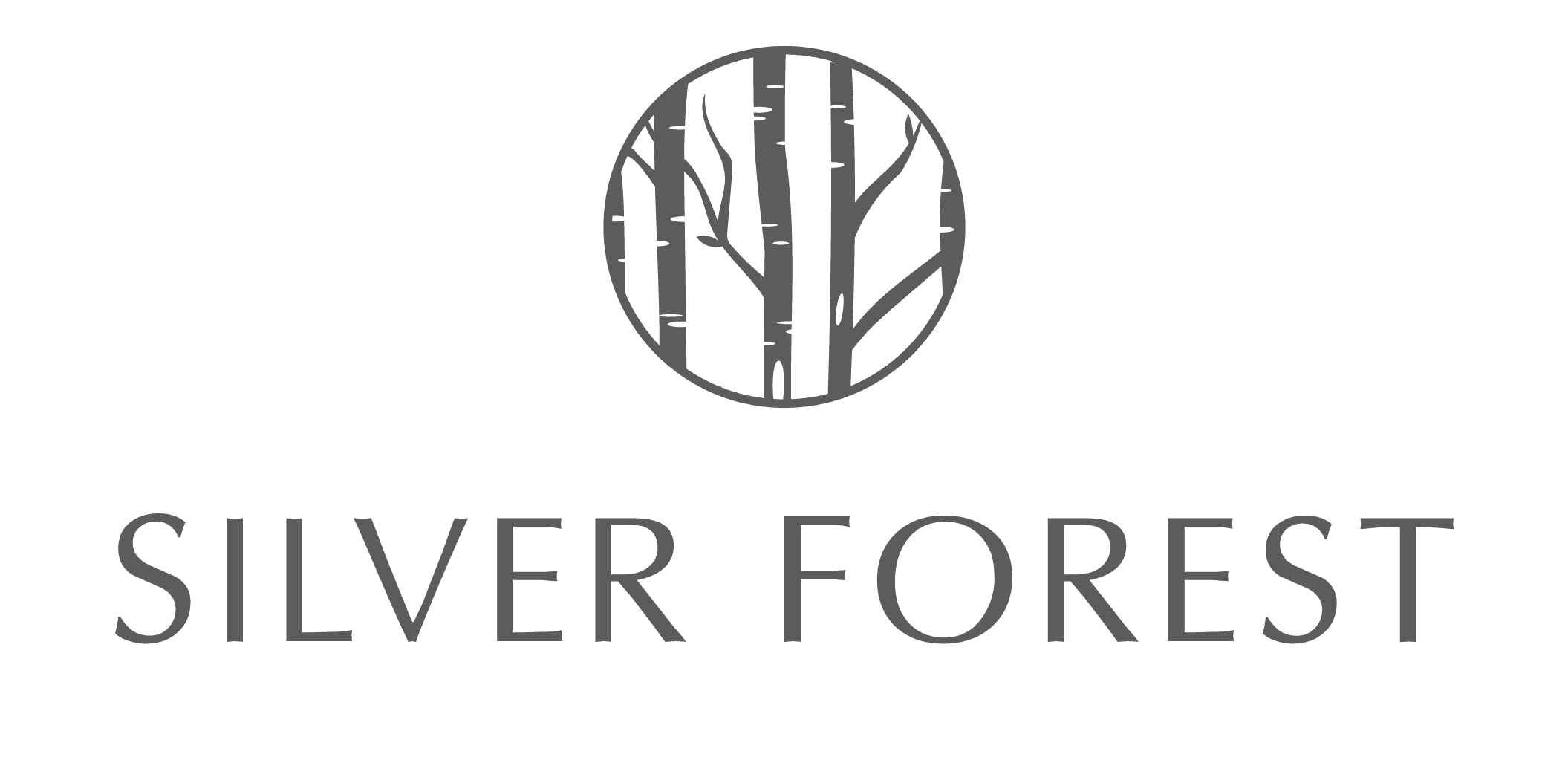 Silver Forest Boutique Hotel and Spa logo
