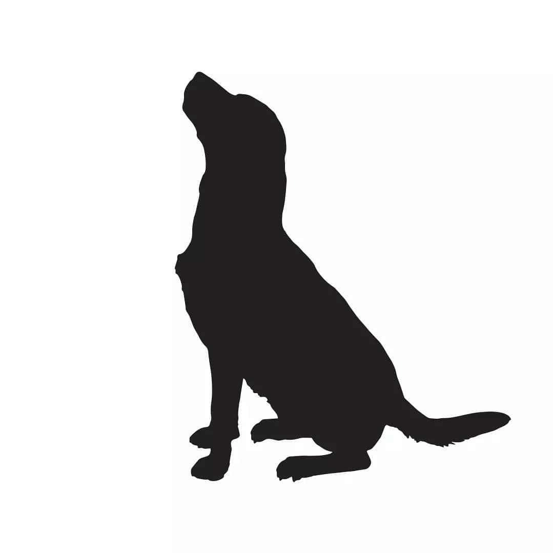 Fat Harry’s logo