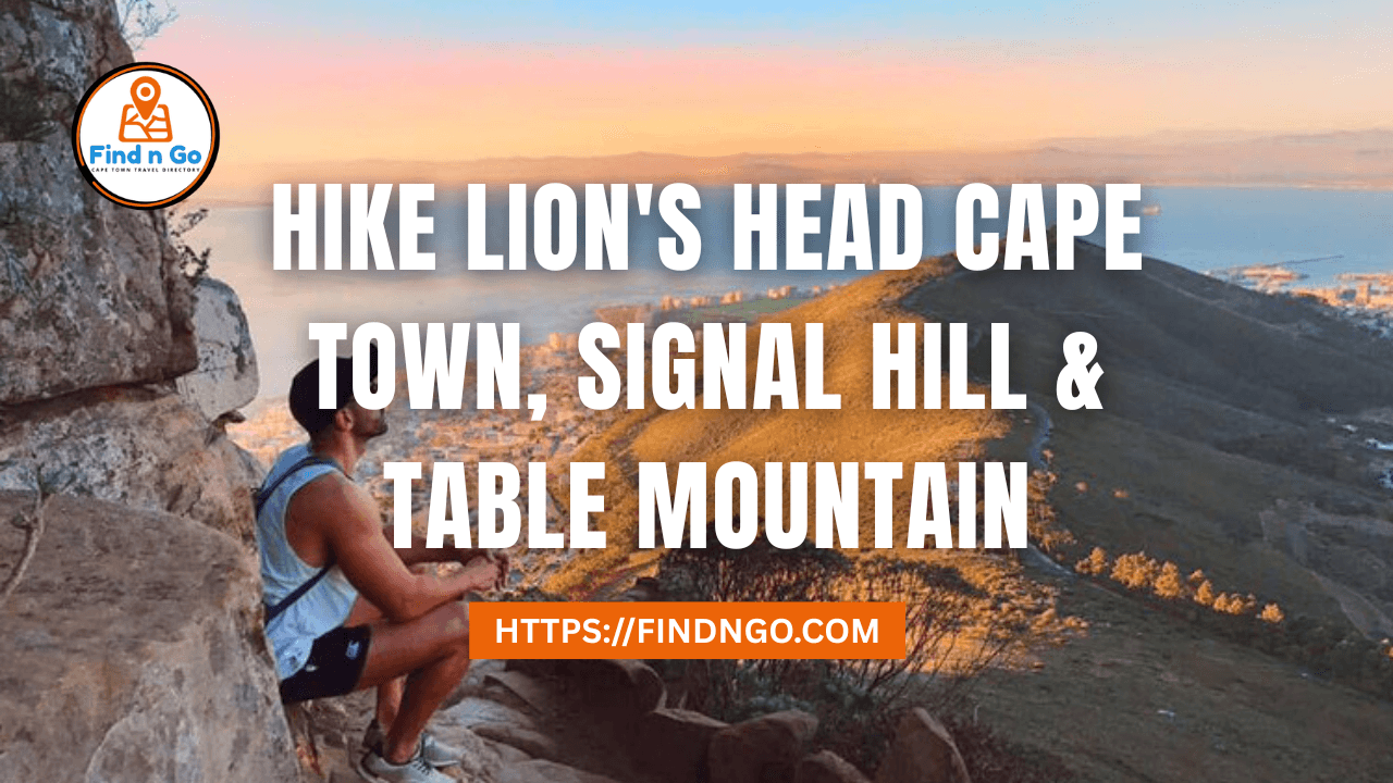 Hike Lion's Head Cape Town, Signal Hill & Table Mountain
