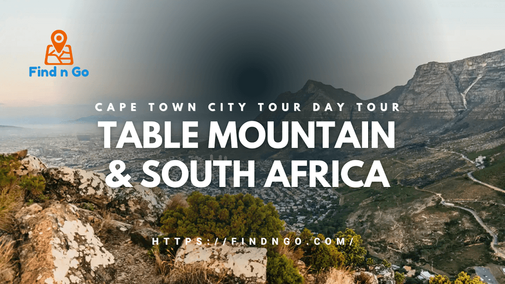 Cape Town City Tour Day Tour, Table Mountain & South Africa