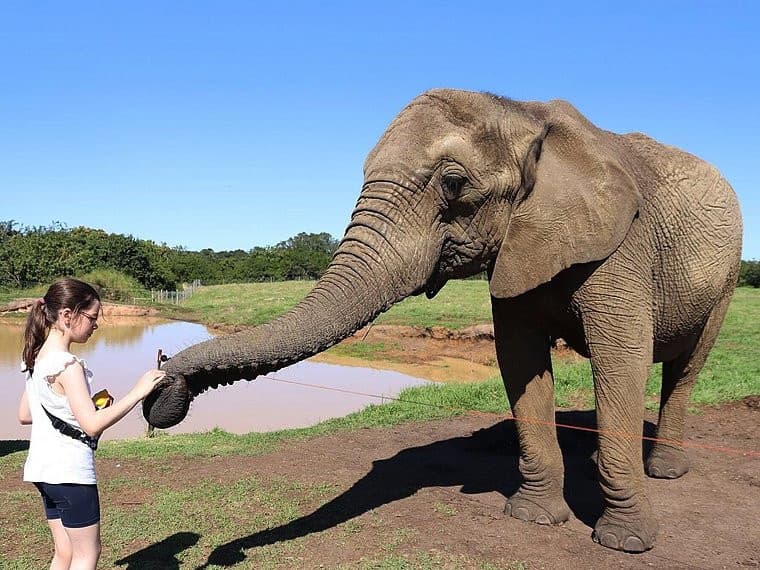 Business listing image