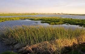 Rietvlei Wetland Reserve logo