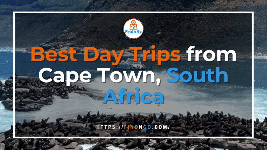 Best Day Trips from Cape Town, South Africa