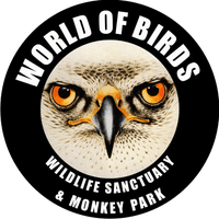 World of Birds logo