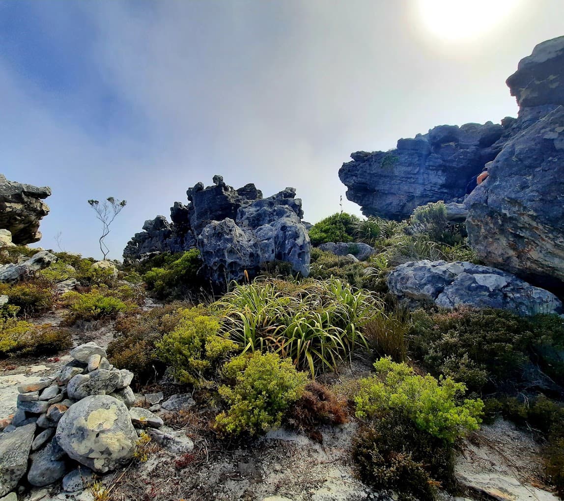 Silvermine Hiking Trail logo