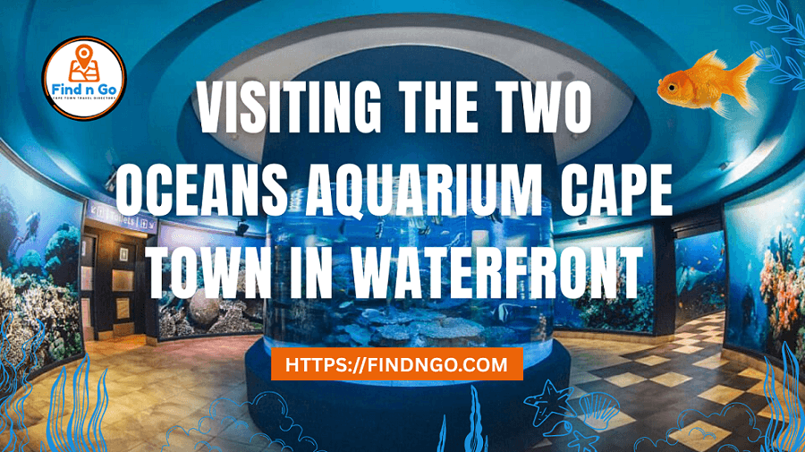 Visiting the Two Oceans Aquarium Cape Town in Waterfront Discovering Ocean Diversity