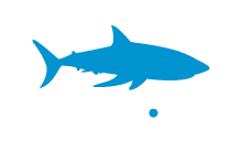 Shark Spotters  logo