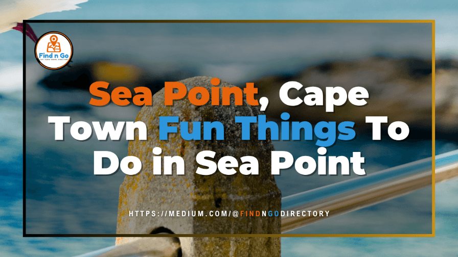 Sea Point, Cape Town Fun Things To Do in Sea Point