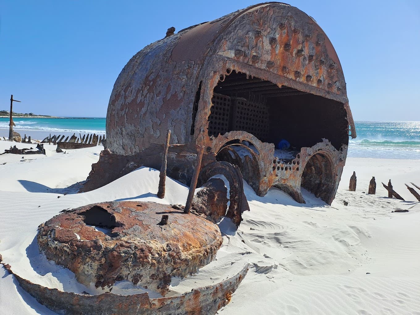 Wreck Of The Kakapo logo
