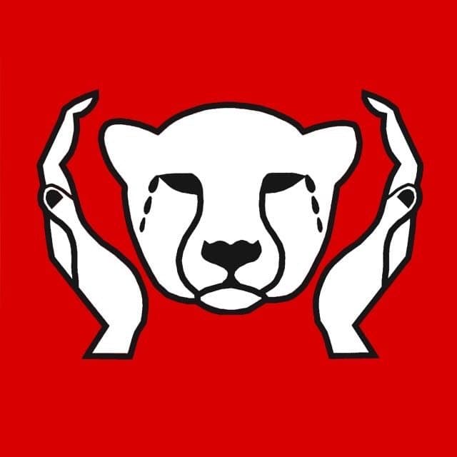 Cheetah Outreach logo