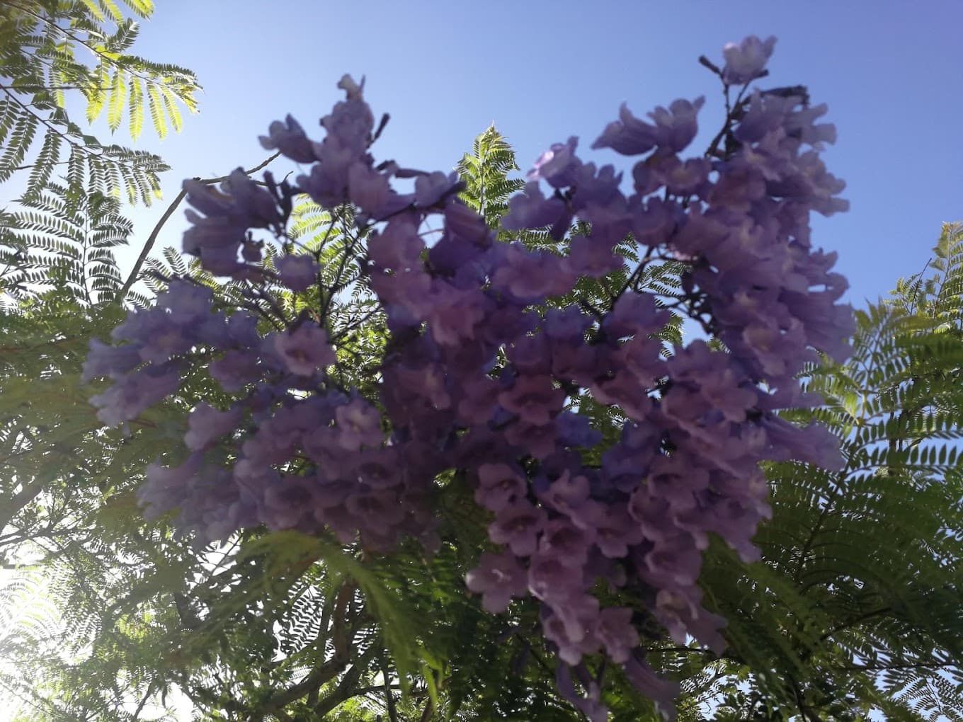 Rust En Vrede Park logo