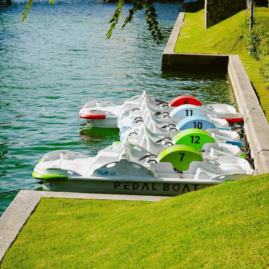 Pedal Boat Cape Town logo