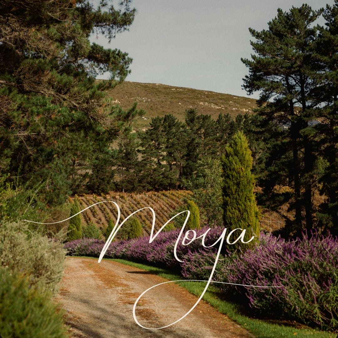 Moya’s Vineyard  logo