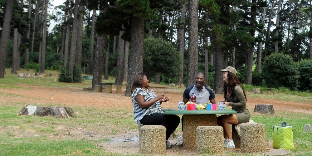 Newlands Forest Picnic Area  logo