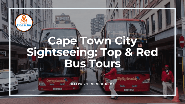 Cape Town City Sightseeing: Top & Red Bus Tours