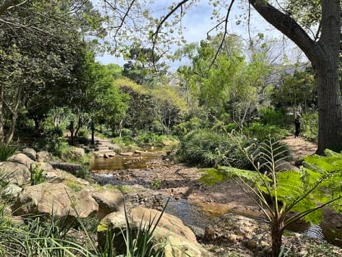 Upper Liesbeek River Garden logo