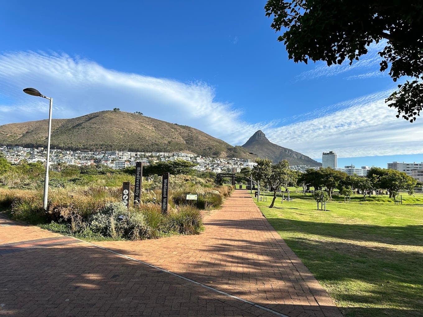 Green Point Park logo