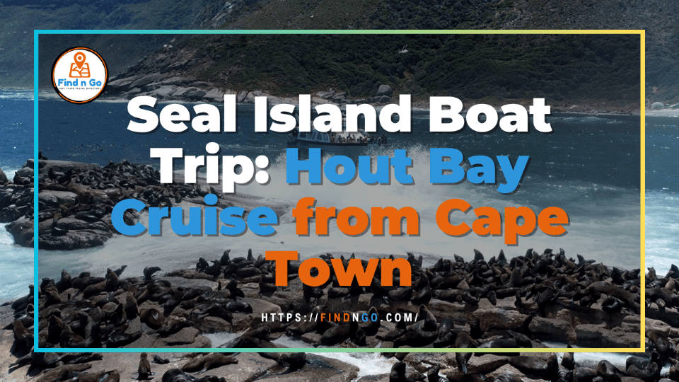 Seal Island Boat Trip: Hout Bay Cruise from Cape Town