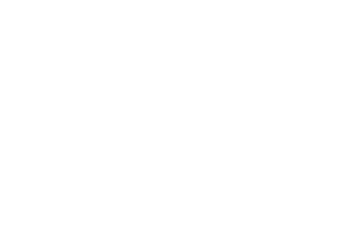 Morgenster Estate logo