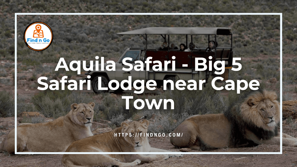 Aquila Safari - Big 5 Safari Lodge near Cape Town