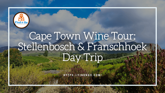 Cape Town Wine Tour: Stellenbosch & Franschhoek Day Trip