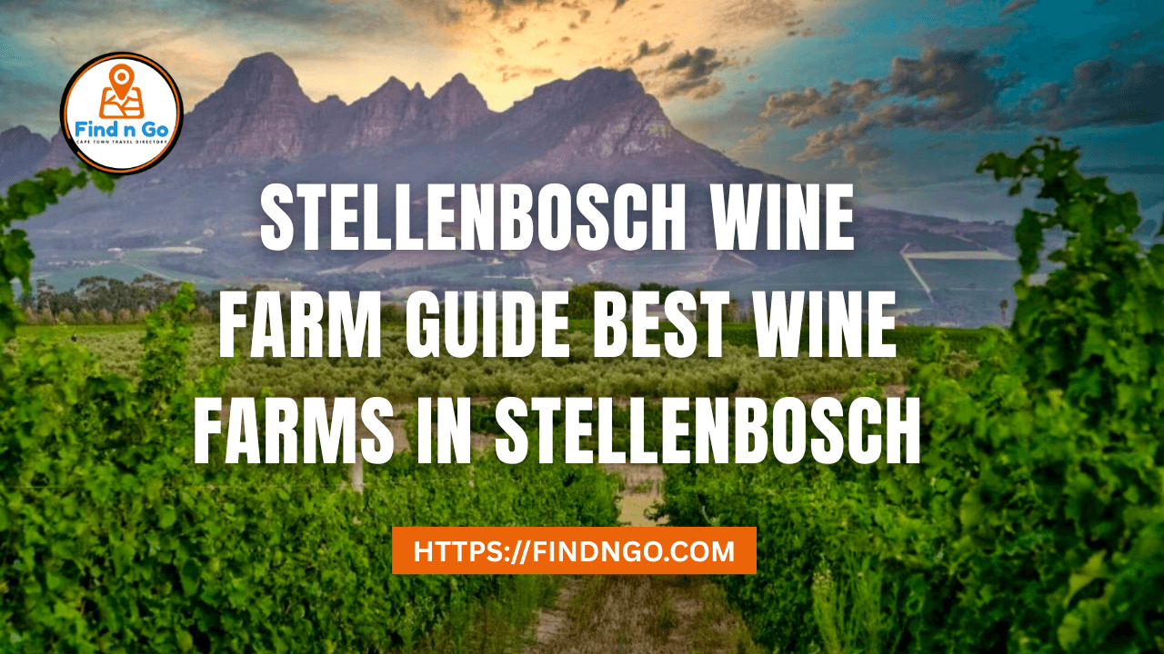 Stellenbosch Wine Farm Guide Best Wine Farms in Stellenbosch