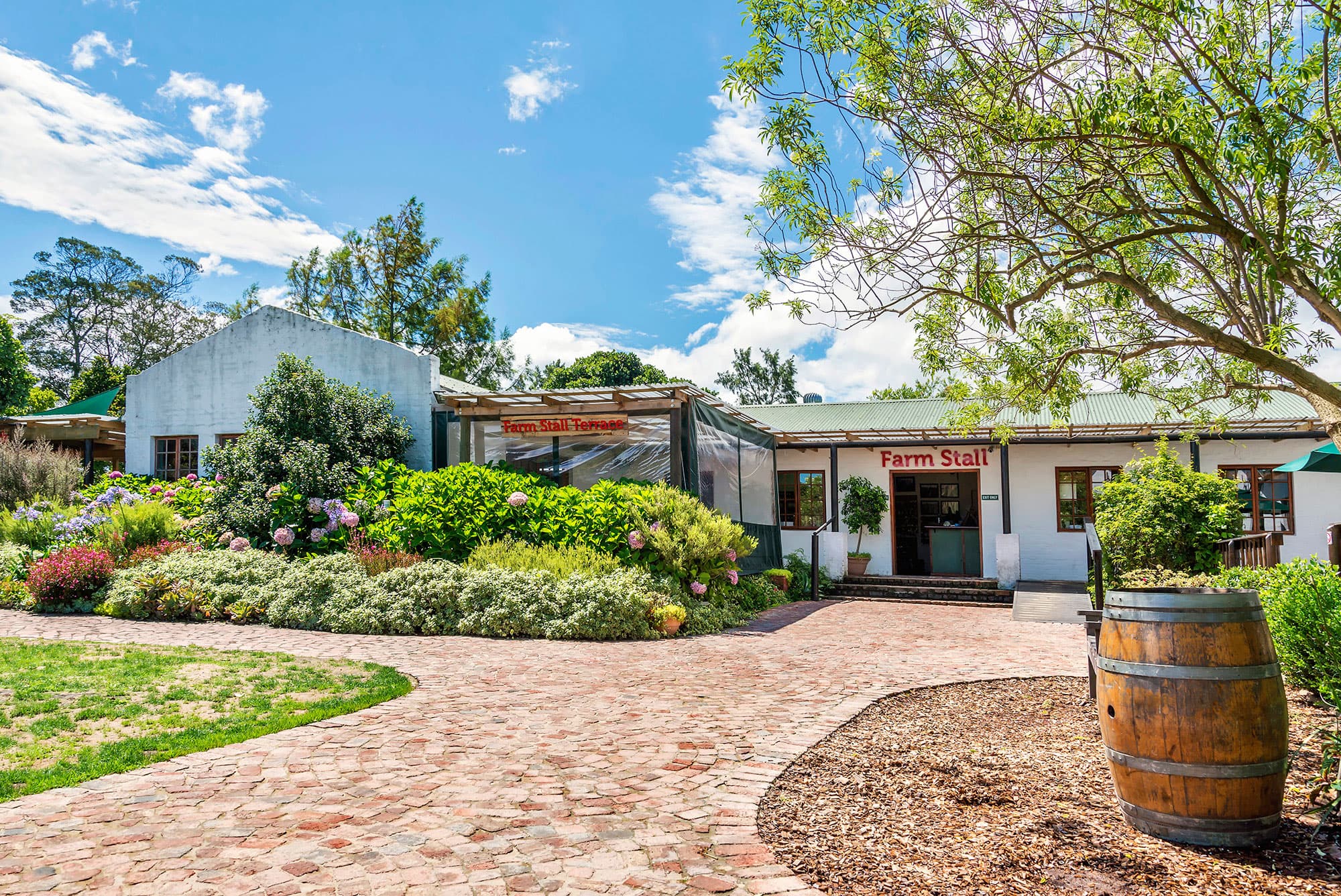 Business listing image