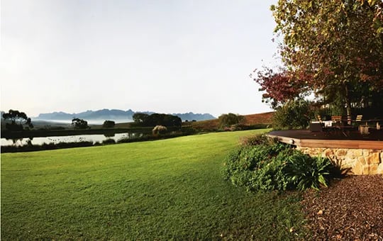 Business image 1