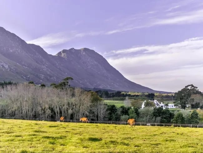 Business image 3