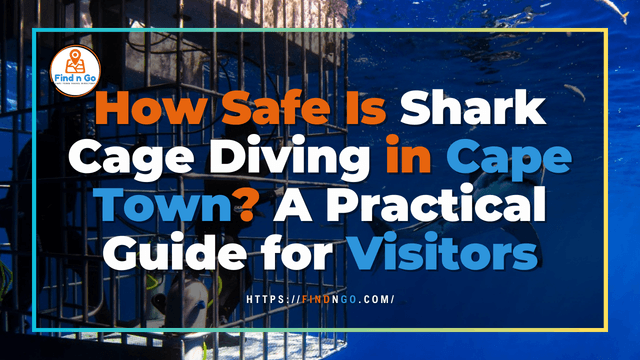 How Safe Is Shark Cage Diving in Cape Town? A Practical Guide for Visitors